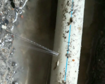 阿勒泰地卫生间测漏水多少钱