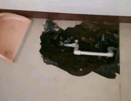阿勒泰地卫生间测漏水多少钱
